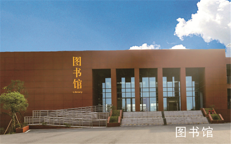 重慶智能工程職業(yè)學(xué)院大數(shù)據(jù)技術(shù)專業(yè)在重慶招生錄取分?jǐn)?shù)(物理類)：203分