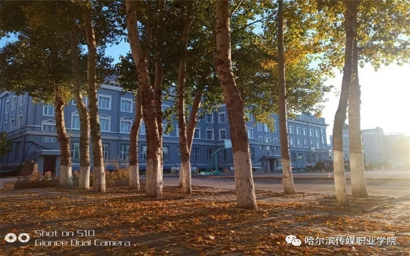 哈爾濱傳媒職業(yè)學(xué)院公共關(guān)系專業(yè)錄取分數(shù)線【黑龍江高考文科】