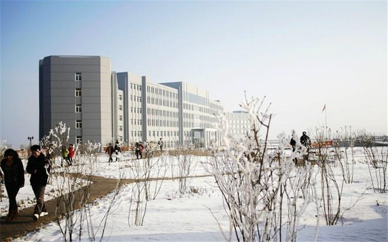 哈爾濱城市職業(yè)學(xué)院醫(yī)學(xué)美容技術(shù)專業(yè)錄取分?jǐn)?shù)線【吉林高考文科】