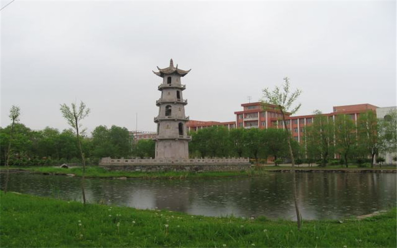 2024年遼寧高考物理類多少分能上鶴崗師范高等專科學校？【各專業(yè)分數(shù)參考匯總】