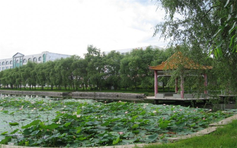 2022年鶴崗師范高等?？茖W校在黑龍江招生專業(yè)及招生人數(shù)匯總（2023考生參考）