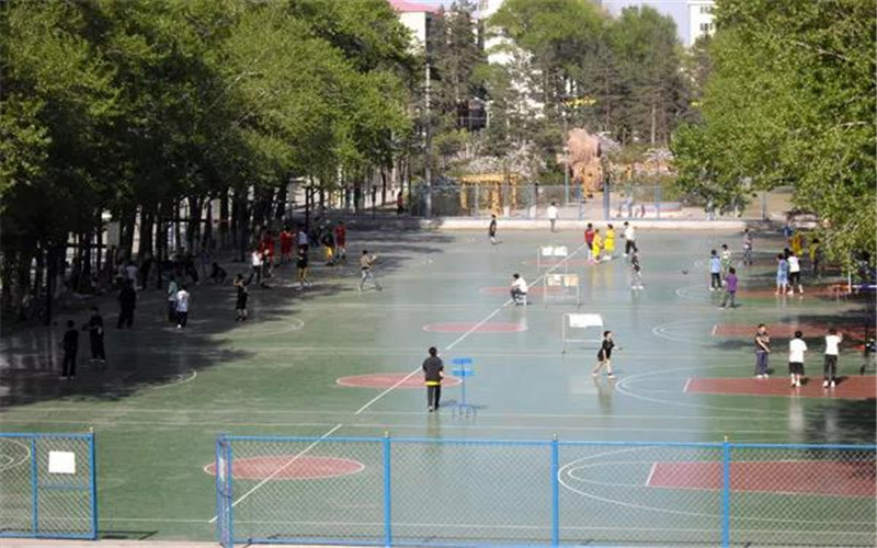 2023年黑龍江農(nóng)業(yè)職業(yè)技術(shù)學(xué)院在黑龍江招生專業(yè)有哪些？學(xué)費(fèi)是多少？