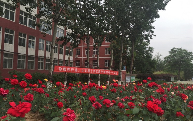 黑龍江三江美術職業(yè)學院軟件技術專業(yè)錄取分數(shù)線【黑龍江高考文科】
