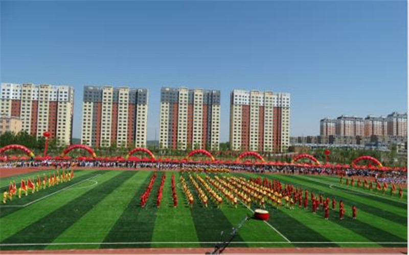 七臺河職業(yè)學院醫(yī)學檢驗技術(shù)專業(yè)在山東招生錄取分數(shù)(綜合)：393分
