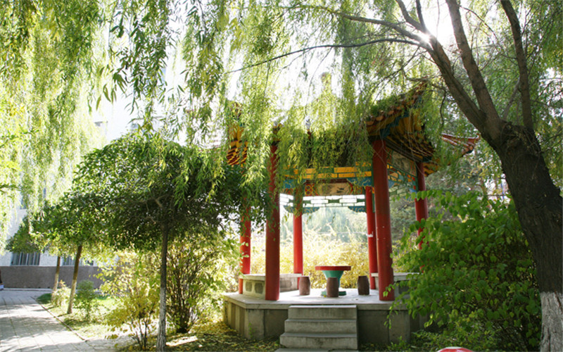 2024考生參考：2023綏化學(xué)院英語（師范類）專業(yè)在重慶招生錄取分數(shù)及錄取位次