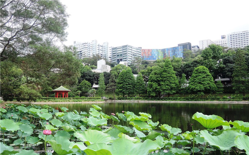 2023年香港中文大學(xué)在廣東招生專業(yè)有哪些？學(xué)費(fèi)是多少？