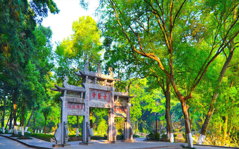 襄陽職業(yè)技術(shù)學(xué)院小學(xué)教育專業(yè)錄取分?jǐn)?shù)線【浙江高考綜合】
