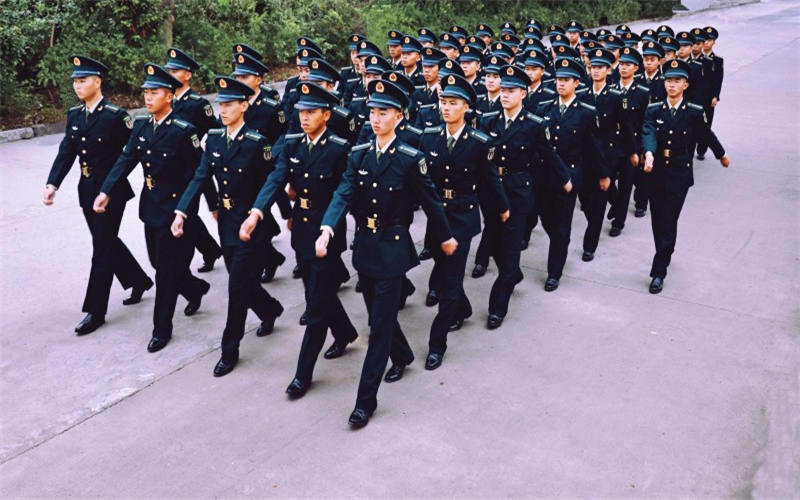 重慶交通職業(yè)學(xué)院自動(dòng)化類專業(yè)在重慶招生錄取分?jǐn)?shù)(物理類)：336分