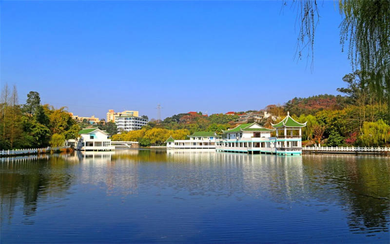 重慶信息技術(shù)職業(yè)學(xué)院會計信息管理專業(yè)在山東招生錄取分?jǐn)?shù)(綜合)：334分