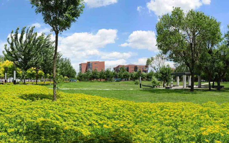 2023年浙江考生多少分可以上天津理工大學大數(shù)據(jù)管理與應用專業(yè)？
