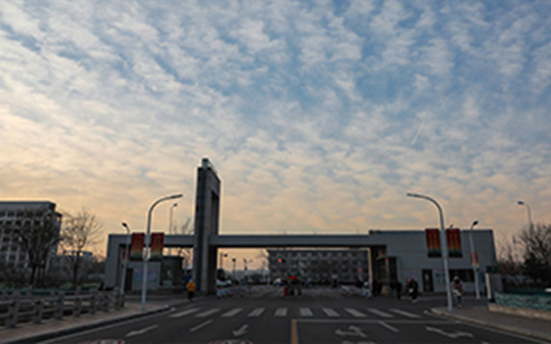 天津農(nóng)學(xué)院動物科學(xué)專業(yè)在浙江招生錄取分?jǐn)?shù)(綜合)：558分