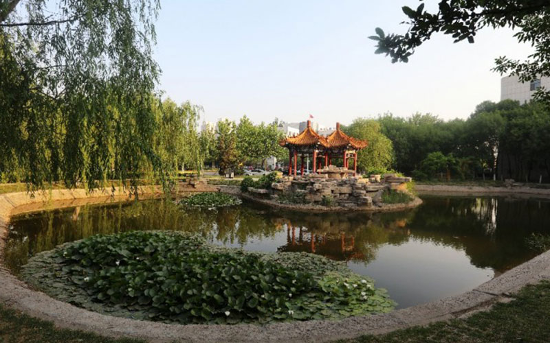 2024考生參考：2023天津商業(yè)大學(xué)智能科學(xué)與技術(shù)專業(yè)在山東招生錄取分?jǐn)?shù)及錄取位次