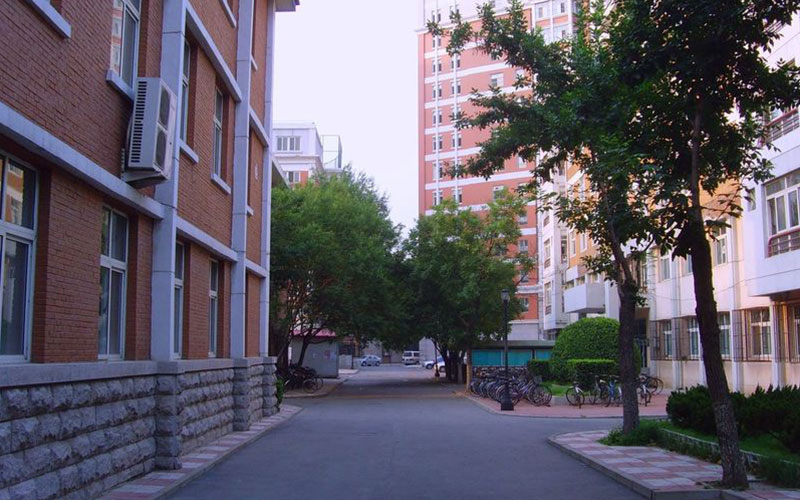 天津外國(guó)語(yǔ)大學(xué)意大利語(yǔ)專業(yè)錄取分?jǐn)?shù)線【天津高考綜合】
