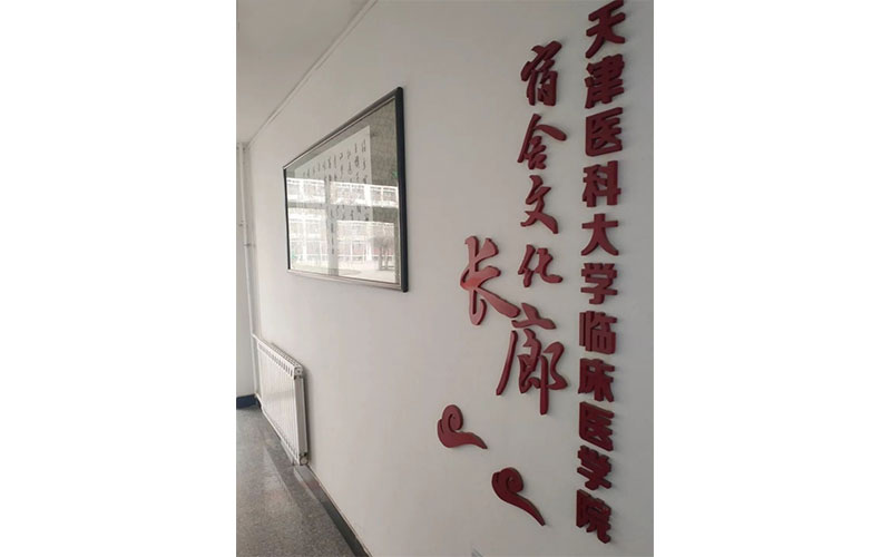 【2023高考參考】天津醫(yī)科大學(xué)臨床醫(yī)學(xué)院2022年安徽招生專業(yè)及招生計(jì)劃一覽表