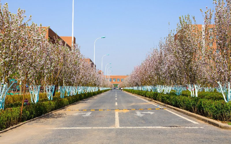 【2023高考參考】天津中德應用技術大學2022年天津招生專業(yè)及招生計劃一覽表