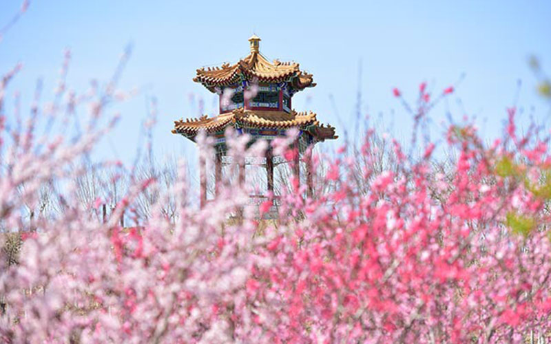 2023年浙江考生多少分可以上天津中醫(yī)藥大學(xué)醫(yī)學(xué)技術(shù)類(lèi)專業(yè)？