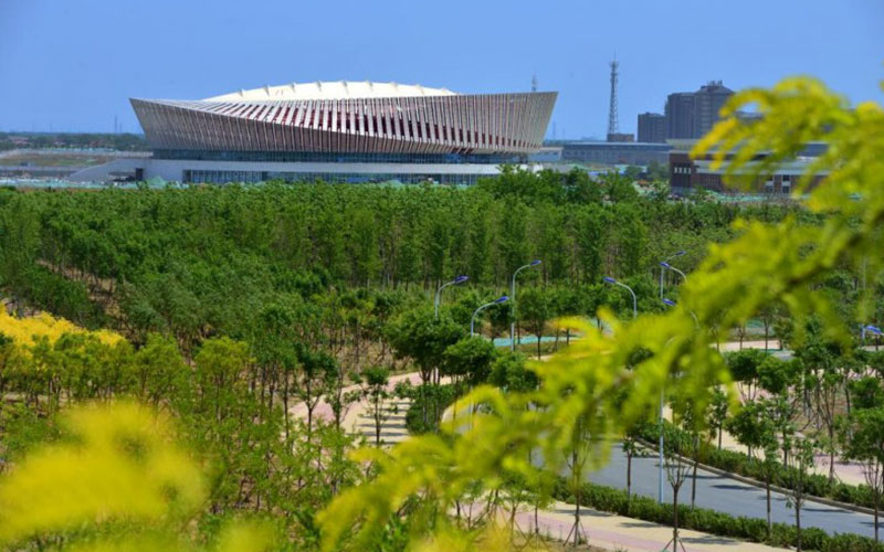 2023年天津中醫(yī)藥大學(xué)在北京招生專業(yè)及招生人數(shù)匯總(2024考生參考)