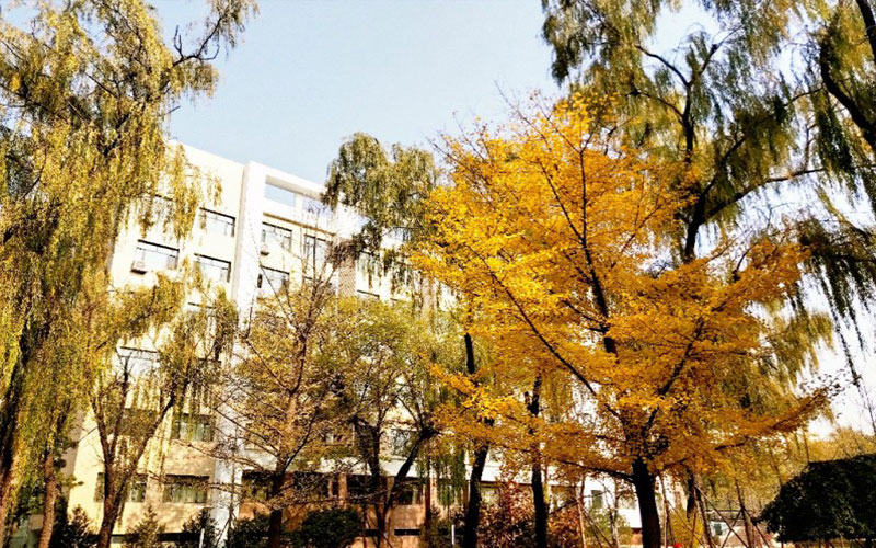中北大學(xué)英語專業(yè)錄取分?jǐn)?shù)線【天津高考綜合】