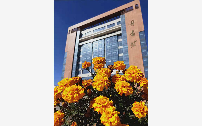 【2024重慶物理類參考】2023年晉中學(xué)院各專業(yè)在重慶招生分數(shù)線匯總