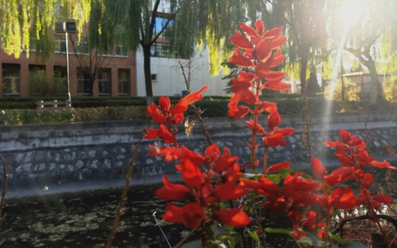 2023年遼寧考生多少分可以上山西大學(xué)俄語專業(yè)？
