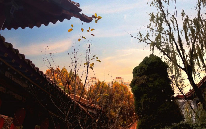 山西金融職業(yè)學(xué)院金融服務(wù)與管理專業(yè)在河北招生錄取分?jǐn)?shù)(歷史類)：224分