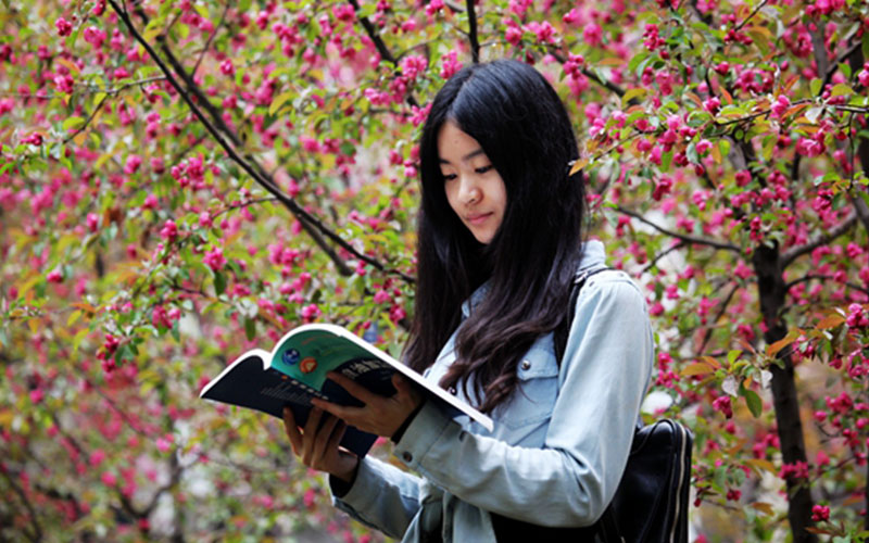 河北歷史類考生排多少名可以上山西農(nóng)業(yè)大學(xué)公共事業(yè)管理專業(yè)?
