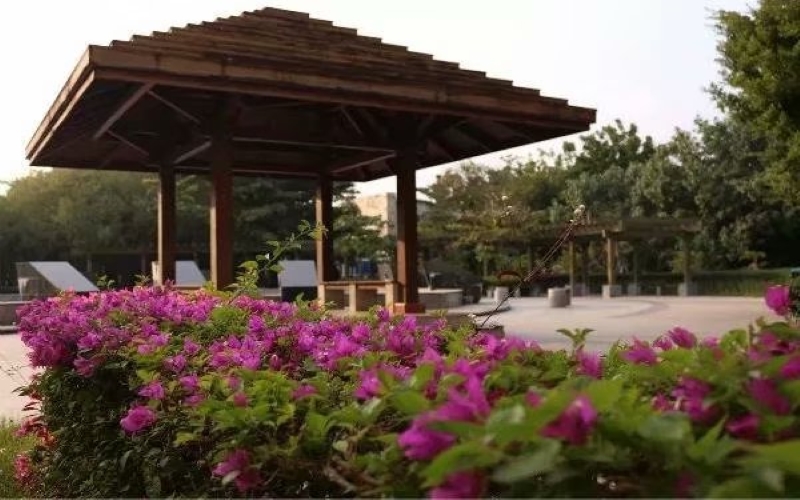 三亞航空旅游職業(yè)學(xué)院空中乘務(wù)專業(yè)錄取分?jǐn)?shù)線【內(nèi)蒙古高考文科】