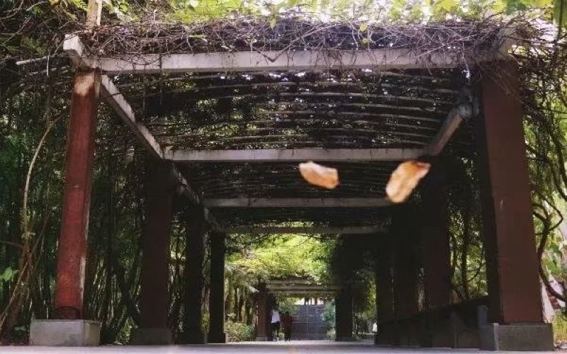三亞航空旅游職業(yè)學院飛機機電設備維修專業(yè)錄取分數線【河北高考歷史類】