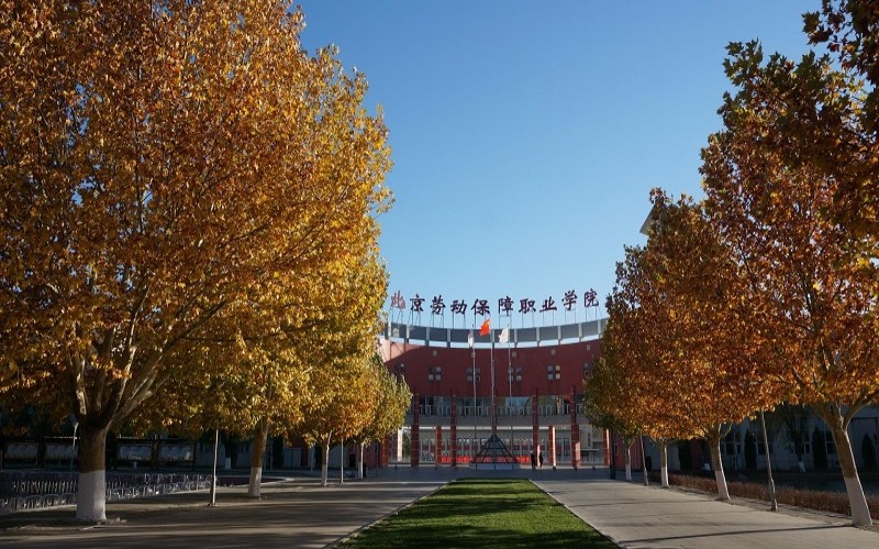 北京勞動保障職業(yè)學(xué)院機電一體化技術(shù)（航天裝備方向）專業(yè)在內(nèi)蒙古招生錄取分?jǐn)?shù)(理科)：232分