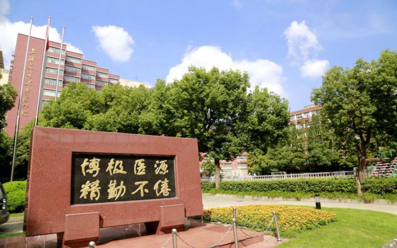 2023年上海交通大學(xué)醫(yī)學(xué)院在湖南招生專業(yè)及招生人數(shù)匯總(2024考生參考)