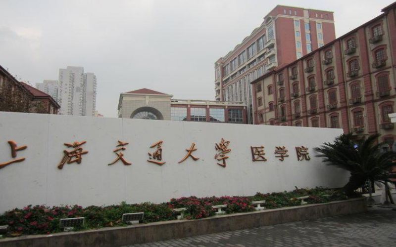 2024年上海交通大學(xué)醫(yī)學(xué)院醫(yī)學(xué)試驗班專業(yè)在山東錄取分?jǐn)?shù)線參考