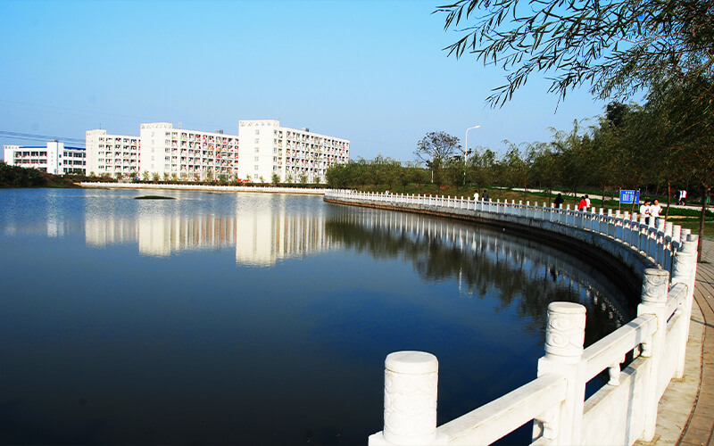 【2024河北歷史類(lèi)參考】2023年信陽(yáng)農(nóng)林學(xué)院各專(zhuān)業(yè)在河北招生分?jǐn)?shù)線匯總