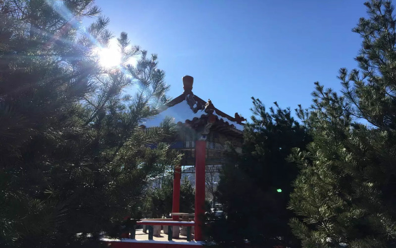 山西經(jīng)貿(mào)職業(yè)學(xué)院數(shù)字媒體藝術(shù)設(shè)計專業(yè)錄取分數(shù)線【河北高考物理類】