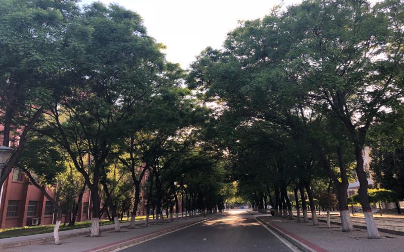 北京經(jīng)濟(jì)管理職業(yè)學(xué)院旅游管理專業(yè)在河北招生錄取分?jǐn)?shù)(物理類)：408分