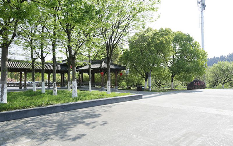 黃山健康職業(yè)學(xué)院康復(fù)治療技術(shù)專業(yè)在山東招生錄取分數(shù)(綜合)：176分
