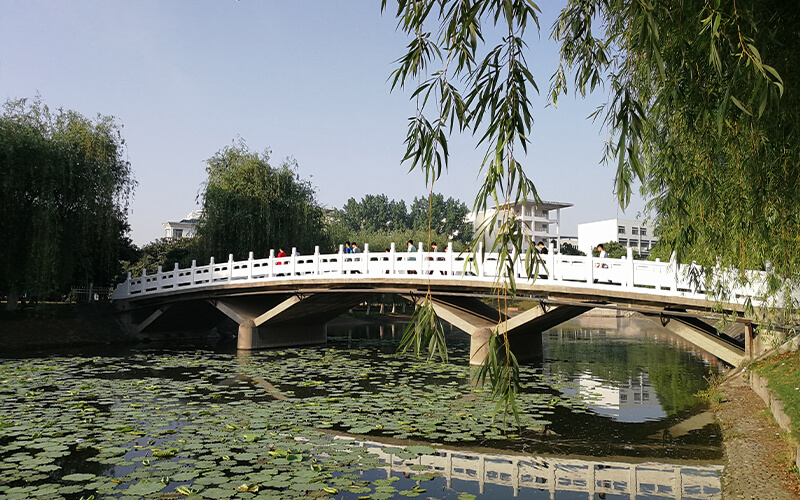 南陽理工學(xué)院計(jì)算機(jī)科學(xué)與技術(shù)專業(yè)在河南招生錄取分?jǐn)?shù)(理科)：516分