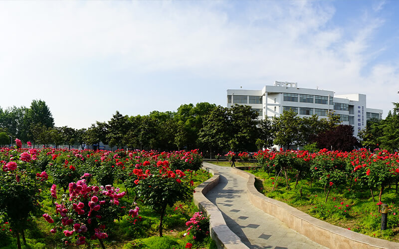 南陽理工學(xué)院環(huán)境設(shè)計(jì)專業(yè)在河南招生錄取分?jǐn)?shù)(藝術(shù)文)：235分