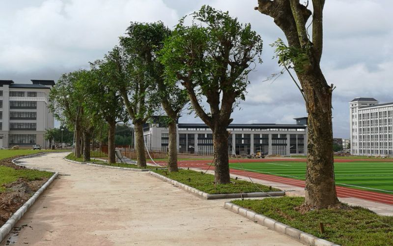 2022年廣東茂名農(nóng)林科技職業(yè)學(xué)院在青海招生專業(yè)及招生人數(shù)匯總（2023考生參考）
