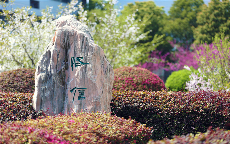2024考生參考：2023常州信息職業(yè)技術(shù)學(xué)院物聯(lián)網(wǎng)應(yīng)用技術(shù)專業(yè)在浙江招生錄取分?jǐn)?shù)及錄取位次