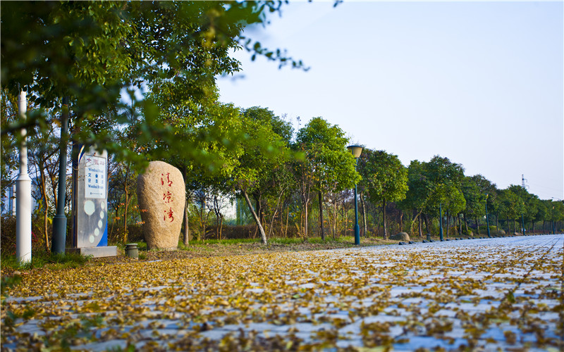 常州信息職業(yè)技術(shù)學(xué)院汽車智能技術(shù)專業(yè)在河北招生錄取分?jǐn)?shù)(物理類)：439分