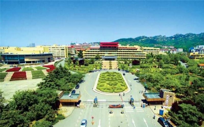 青島大學(xué)漢語(yǔ)言文學(xué)專(zhuān)業(yè)錄取分?jǐn)?shù)線【天津高考綜合】