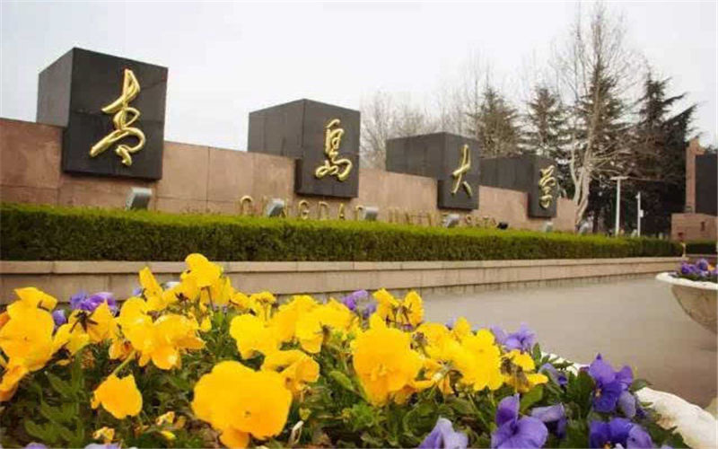青島大學法學（地方專項計劃）專業(yè)在山東招生錄取分數(shù)(綜合)：570分