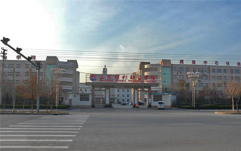 山東勝利職業(yè)學(xué)院環(huán)境工程技術(shù)專業(yè)在山東招生錄取分數(shù)(綜合)：313分