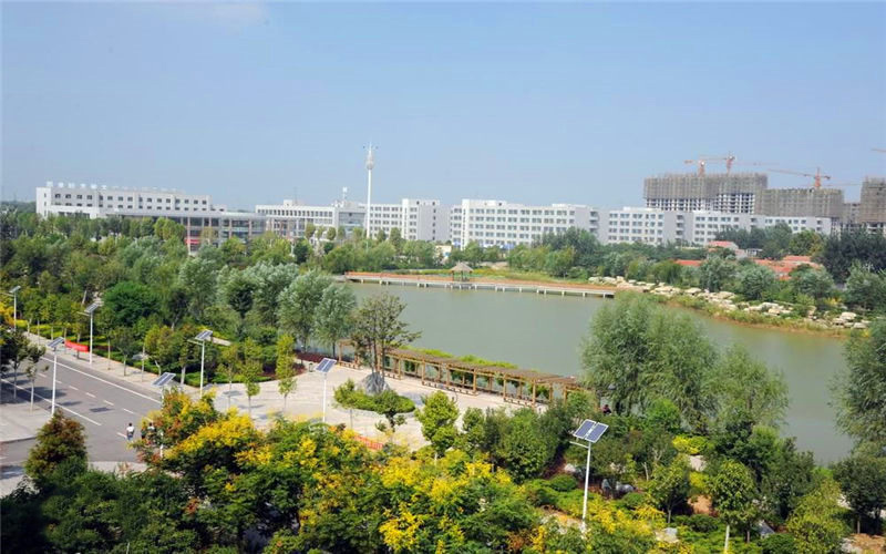 2024年山東理工職業(yè)學(xué)院汽車技術(shù)服務(wù)與營(yíng)銷專業(yè)在山東錄取分?jǐn)?shù)線參考