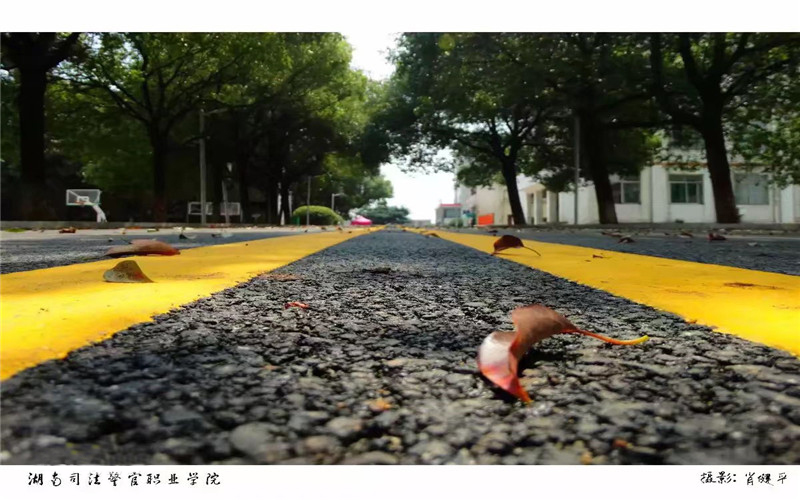 湖南司法警官職業(yè)學(xué)院社區(qū)矯正專業(yè)錄取分?jǐn)?shù)線【云南高考文科】