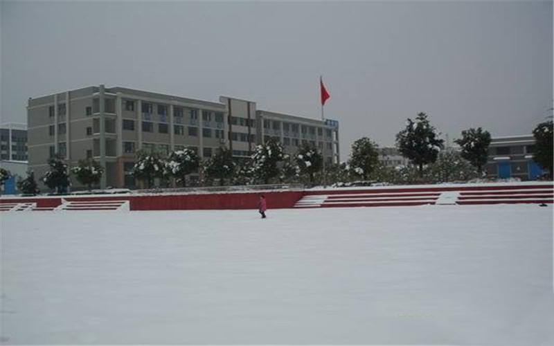 瀟湘職業(yè)學(xué)院大數(shù)據(jù)技術(shù)（華為ICT）專業(yè)在山東招生錄取分?jǐn)?shù)(綜合)：306分
