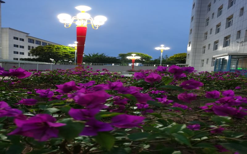遼寧財貿(mào)學(xué)院金融工程專業(yè)錄取分數(shù)線【天津高考綜合】