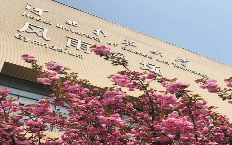 河北科技大學(xué)電氣工程及其自動化專業(yè)在浙江招生錄取分?jǐn)?shù)(綜合)：566分