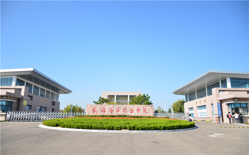 威海海洋職業(yè)學(xué)院港口物流管理專(zhuān)業(yè)錄取分?jǐn)?shù)線【山東高考綜合】