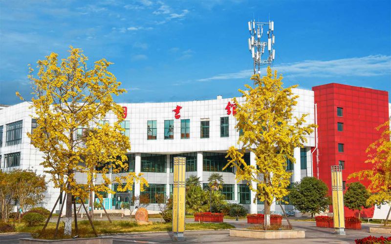 四川幼兒師范高等專科學(xué)校小學(xué)教育專業(yè)（一 ）錄取分?jǐn)?shù)線【四川高考文科】